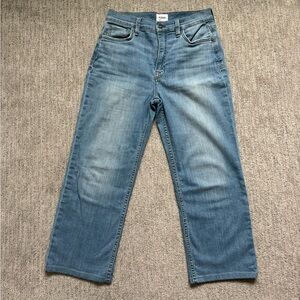 Hudson Jeans Women's Blue Denim